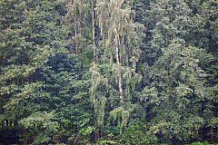 20110905115308 7994