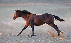 20110625204139 7444