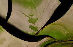 20110615230518 2688