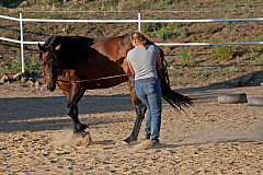 20110616192443 2814