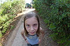 20110617174807 3660