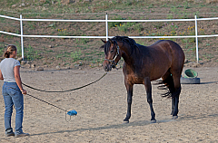 20110618184256 3416