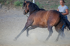 20110618184331 3422