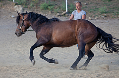 20110618184339 3432