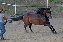 20110618184342 3435