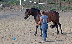 20110618184500 3454