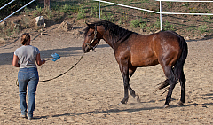 20110618184532 3460