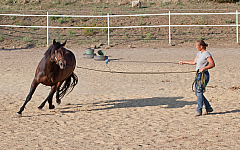 20110618184655 3475