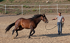 20110618184656 3476