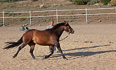 20110618184702 3477