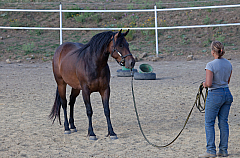20110618184731 3484