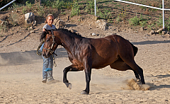 20110618184943 3497