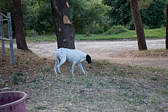 20110618190853 3558