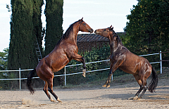 20110624190057 7000