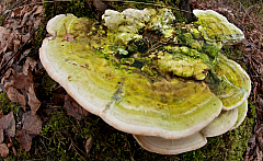 20120104140537 4999