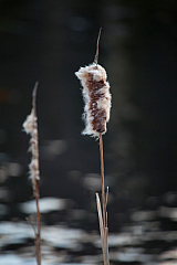 20120104150912 5179