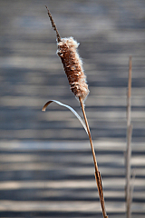 20120104150940 5182