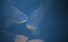 20120104151028 5186