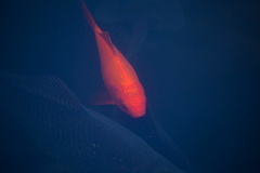20120104151104 5191