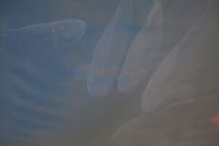 20120104151355 5222