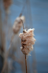 20120104151441 5229