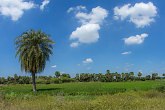 Drive to Chennai 2