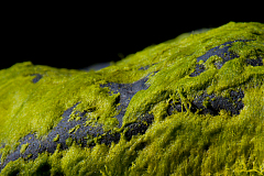 20120601184710 2621