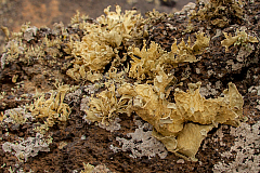 20120610173648 6461