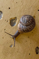 20120813185037 14245