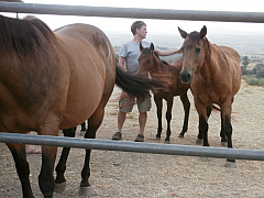 P8060027