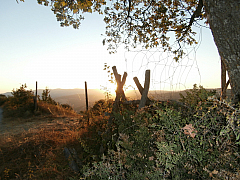 P8090064