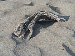 P8100131