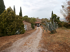 P8130196