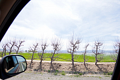 20120329134824 8419