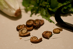 20120328175009 6830