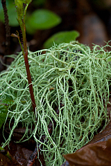 20120328150904 7845