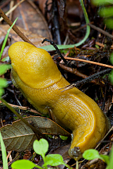 20120328150930 7846