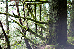 20120328162631 8005