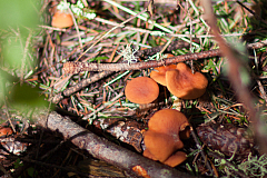 20120328165540 8049