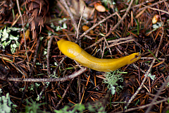 20120328165610 8050