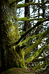 20120328174413 8066