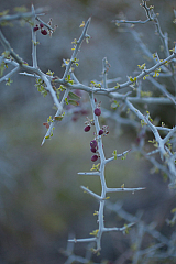 20120320195416 6477