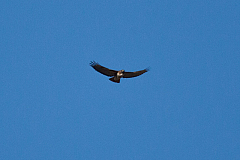 20120312175845 4660