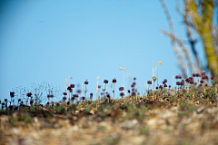 20120313181346 5086