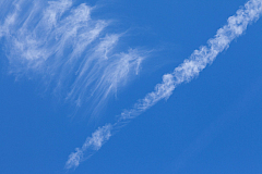 20120314145138 5291