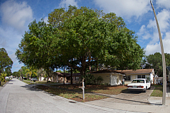 Houses