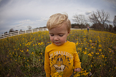 20120306164649 3911