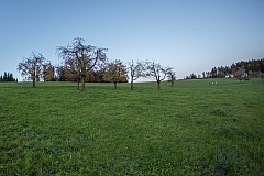 20131109170221 29399