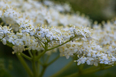 20130713202852 24151