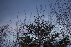 20130216215722 29376